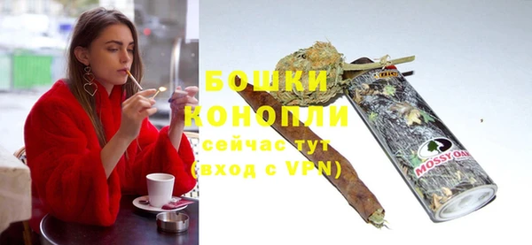 гидра Осинники