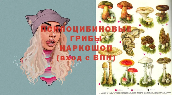 Альфа ПВП Новозыбков
