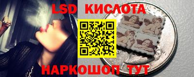 спиды Гай