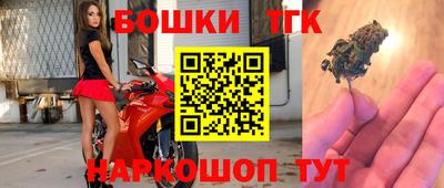 спиды Гай