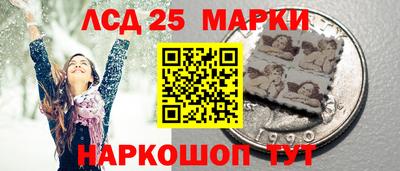 спиды Гай