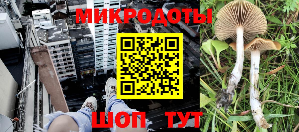 Псилоцибиновые грибы Magic Shrooms Ирбит