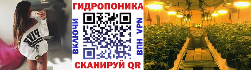 где продают   blacksprut ONION  Бошки Шишки тримм  Ирбит 